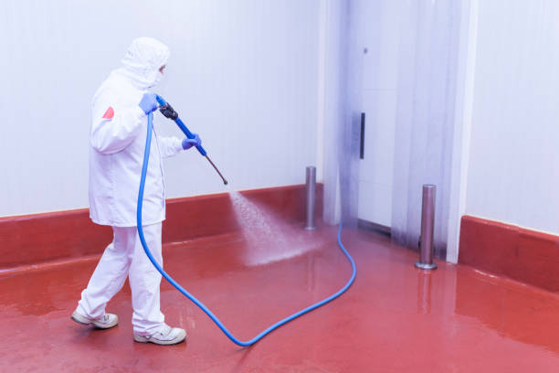 Professional Pressure Washing in Toftrees, PA