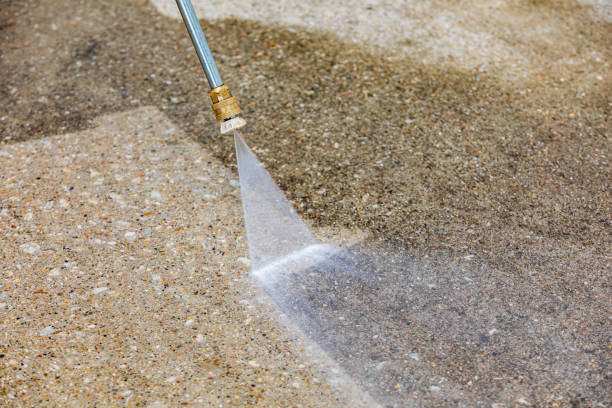 Best Pre-Holiday Cleaning  in Toftrees, PA